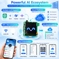 Modul Model Suara AI AISK untuk Produsen Mainan Boneka dengan Layar Tampilan, Pendamping Emosional AI, Memori ChatGPT Gemini OEM ODM