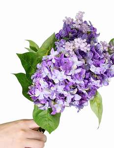Ramo de <span class=keywords><strong>Hortensias</strong></span> Artificiales Realistas, Arreglo Floral Perfecto, Flores Artificiales para Toda Ocasión - Product Image 2