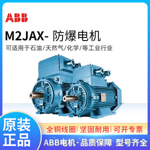 Motor a Prueba de Explosiones M2JAX132S2A 5.5KW 2P B3 Trifásico Asíncrono para Uso Industrial en Entornos Peligrosos - Product Image 5
