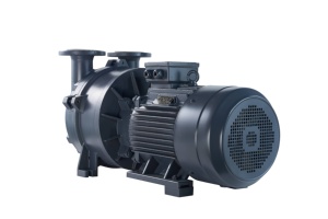 Hoogwaardige 1PK/2PK/5PK 2BV RVS op maat gemaakte waterring vacuümpomp voor de automobielindustrie - Product Image 5