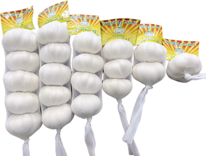 2025 nouveau croup OPTIMUM Chine ail légumes frais Alho ail Ail Frais Ajo prix de gros fournisseur de Chine - Product Image 3