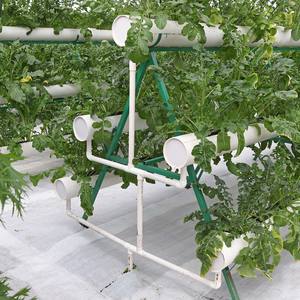 Sinok Gewächshaus Hydro ponik Turm NFT Hydro ponik für Salat Vertikale Landwirtschaft <span class=keywords><strong>Cocopeat</strong></span> Tomaten Gemüse Landwirtschaft Landwirtschaft - Product Image 2