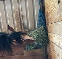Filet à foin à alimentation lente, remorque et écurie, filets en plastique adaptés aux chevaux