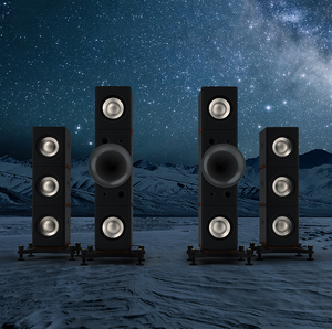 ESD altoparlante Fengming cinque canali <span class=keywords><strong>dieci</strong></span> unità di alimentazione a bobina di campo altoparlante Subwoofer altoparlante - Product Image 1