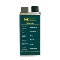 Batterie lithium-ion solide 30 Ah à grande capacité 3,7 V, cellule longue durée pour drone, 10C, 1200 cycles, 30000 mAh