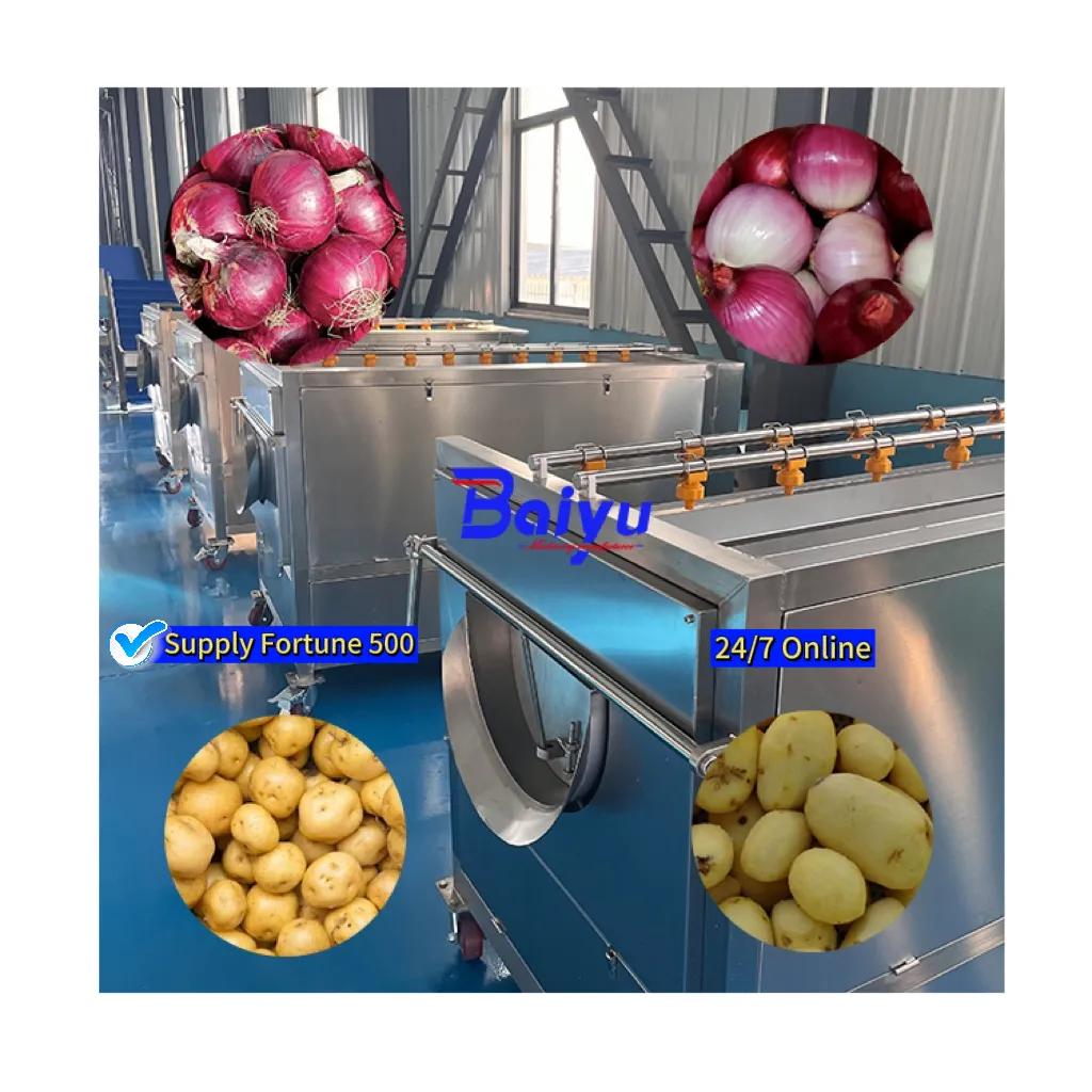 Baiyu Industriële Gember Cassave Zoete Aardappel Schilmachine Voor Garri-Verwerkingslijn In Fruitverwerkingsfabrieken