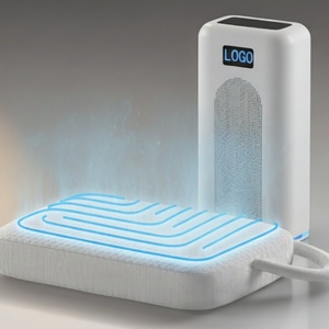 Customize Standard Queen Size Heating and Cooling Pillowcase Water Circulation Cooling Pillow <b>Cover</b> for Hot Sleeper - Product Image 1