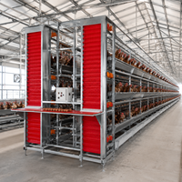 Offre Spéciale : Cage de Poulailler en Acier à 3/4 Niveaux pour 90-240 Poulets – Cage à Batterie pour Éleveuse de Poussins et Jeunes Poulets