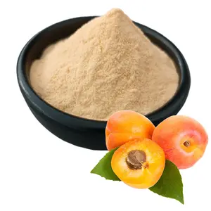 Nhãn hiệu riêng OEM tự nhiên nước hòa tan tự nhiên ISO chứng nhận Apricot bột trái cây