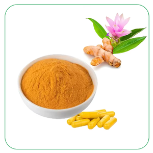 Bubuk ekstrak akar kunyit 95%, bubuk Kurkumin suplemen Kurkumin organik - Product Image 1
