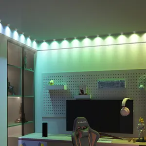 Banqcn Smart Dream Color Change Pixel led rgb Module Lamp 5M DC12V Dot Point Light Source for Indoor Home Decor