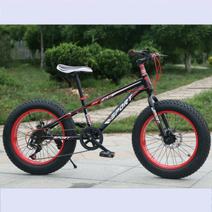 Vélo de montagne Sport 20 pouces avec pneus larges, fourche à suspension, freins à disque pour adultes unisexe - Product Image 3