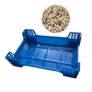 Cajas de Cría de Insectos Apilables de Plástico PP Negro de 600x400x145mm Personalizadas para Cría de Larvas de Mosca Soldado Negra (<span class=keywords><strong>BSF</strong></span>) - Product Image 5