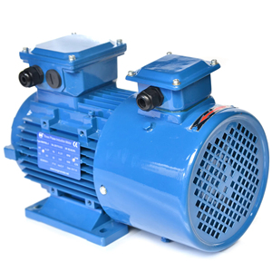 Moteur à induction triphasé 220V 2800 tr/min avec pompe hydraulique - Product Image 2