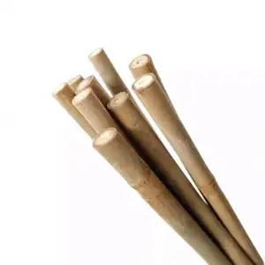Natural short bamboo stakes vegetable field stand bamboo poles on plant high quality