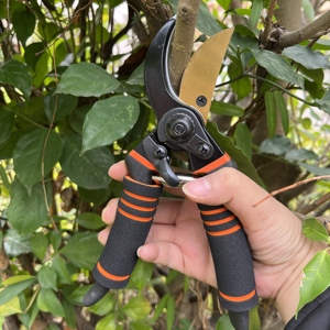 Chuyên Nghiệp Cao Cấp Sk5 Titan Thép Vườn Cắt tỉa Kéo Cao Cấp Pruner - Product Image 2