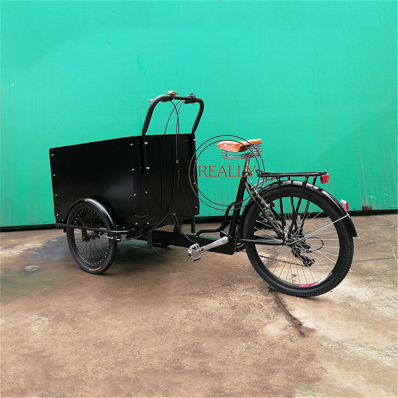 2025カーゴエレクトリックバイクドッグケアカーゴバイク3輪ファミリー