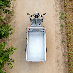 Triciclo Eléctrico de Carga ELK, Motorizado de Tres Ruedas, Acero, 60V 1000W+, Velocidad Máxima 30-50Km/h, Autonomía 50-70km, Carga Útil 400kg, Carrocería Abierta, Homologación DOT - Product Image 6