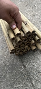 เสาไม้ไผ่สำหรับการเกษตร เสาต้นอ้อยโทนกิ้น เสาสำหรับสวนองุ่น  วัสดุยึดต้นไม้ที่เป็นมิตรกับสิ่งแวดล้อม ขายส่งจากเวียดนาม - Product Image 3