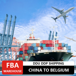 Prezzo competitivo LCL + Express tariffe di spedizione internazionale da cina a belgio mare trasporto logistico - Product Image 2
