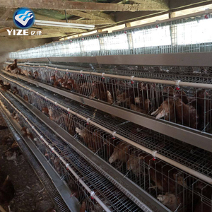 Cages à volailles de seconde main (cages chaudes alimentation du poulet 3 couches, 4 couches fermes en fil d'acier à faible teneur en carbone boîte en bois 9-10 ans - Product Image 6
