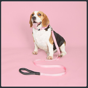 Collier pour chien et chat en nylon avec bande réfléchissante, anti-perte, pour chiens de taille moyenne et grande, avec GPS Tracker Airtag, coloré - Product Image 5