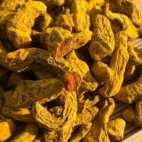 Yulin City Prix d'usine avec la meilleure qualité curcuma/doigt de curcuma