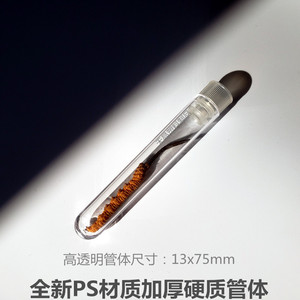 Tubo de ensayo de vidrio de borosilicato alto con fondo redondo y tapa para Cordyceps Sinensis de Tianjing, botella de embalaje 1386 - Product Image 5