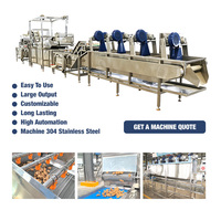 Plantaardige groente- en fruitwas-, reinigings- en blancheringsmachine plan