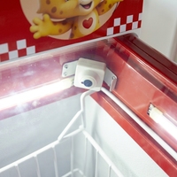 Distributeur automatique de produits surgelés commercial extérieur personnalisé ODM OEM, 24 heures sur 24, pour fruits surgelés et crèmes glacées