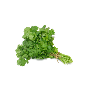 Variedad de Cilantro de Alto Rendimiento Adecuada para Cultivadores Profesionales, Producción de Hierbas Frescas y Operaciones Agrícolas a Gran Escala - Product Image 6