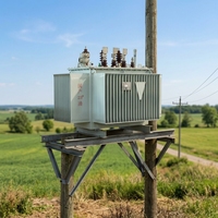 Transformateur de puissance triphasé immergé dans l'huile S20/S22 200 kVA 50 Hz de haute qualité à bas prix pour usine d'équipement électrique (vente en gros)