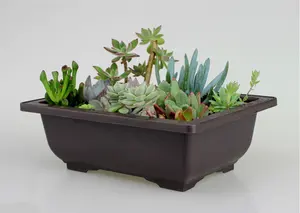 Bonsai Pot 16.4*12.1*5.9cm 650ml Rectangle Bonsai Flower Pots Succulent Planter Flower Pot Garden Planter Flower Pot