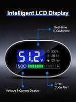 Batería de Litio LiFePO4 para Almacenamiento de Energía Solar de 51.2V, 400Ah, 300Ah, 20kWh, 15kWh, 10kWh, con BMS, de Pie, CAN, Garantía de 8 Años, Todo en Uno, MSDS