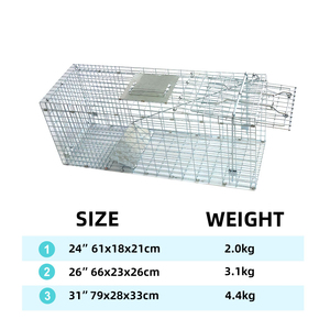 Piège à animaux vivants robuste en acier inoxydable de 31 pouces pour renards, ratons laveurs, opossums - Piège professionnel de <span class=keywords><strong>capture</strong></span> et de libération des prédateurs - Product Image 3