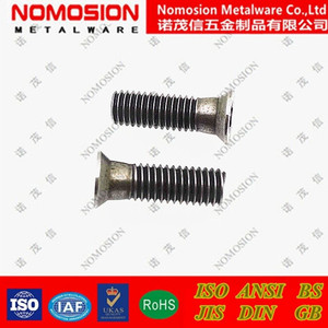 Tornillo de Cabeza Torx M5x13 7.2 82 T20 para Piezas de Maquinaria para Trabajar la Madera, Acero de Alta Precisión - Product Image 3