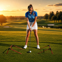 SwingPerfect - Entrenador de Control de Amplitud para Putt de Golf, Limitador de Longitud de Golpe Ajustable de Fibra de Vidrio, 280g, Ayuda para Práctica en Interiores y en el Green