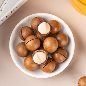 호주 직수입 통 생 건조 마카다미아 넛츠 10KG 대용량 OEM & 수출 인증 - Product Image 5