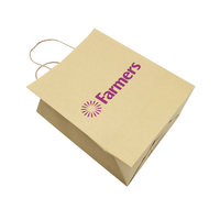Sac en papier kraft personnalisé avec poignée Flexiloop, écologique, recyclable, impression numérique, logo, ruban noué pour l'emballage et le shopping