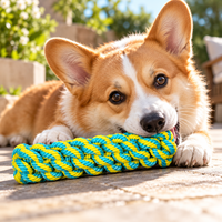 Jouets pour chiens en corde de coton durable, tressés, pour mâcher et tirer, pour chiots, chiens de petite, moyenne et grande taille