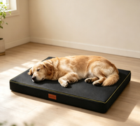 Coussin absorbant pour animaux de compagnie, moderne, solide, réutilisable, écologique, doux, confortable, imperméable, lavable, pour chiens, chats et autres animaux