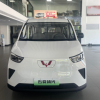 WULING YANGGUANG 2024 MINI EV VÉHICULE À ÉNERGIE NOUVELLE POUR L'EXPORTATION 4 PORTES 2 PLACES Batterie 9,2 kWh Moteur 100-150 kW Autonomie 300 KM PURE
