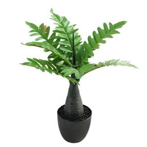 ต้นไม้พลาสติกสีเขียว บอนไซ 9 ใบ แบบผสม บรรจุในกล่องแยก สำหรับตกแต่งห้องนั่งเล่น - Product Image 5