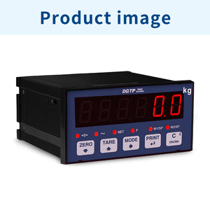 Báscula Digital DINI ARGEO DGTP Multiusos - Product Image 1