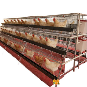 Jaulas de batería para gallinas ponedoras, equipos para granjas avícolas y cría de <span class=keywords><strong>huevos</strong></span> - Product Image 1