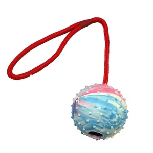 Giocattolo giocattolo per cani interattivo su una corda premio durevole Chew Chew chitch toch <span class=keywords><strong>Dog</strong></span> Toy Toy - Product Image 6