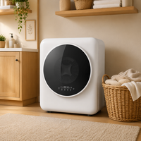 Sèche-linge compact Langyi 4 kg, 800 W, automatique, tambour en acier inoxydable, 220 V, portable, pour la maison, l'hôtel, la blanchisserie
