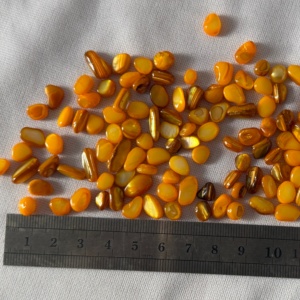 Coquillages concassés <span class=keywords><strong>de</strong></span> 1 à 3 mm, copeaux <span class=keywords><strong>de</strong></span> coquillages marins pour la décoration intérieure, l'artisanat, le remplissage <span class=keywords><strong>de</strong></span> vases, l'aménagement paysager moderne, le terrazzo, <span class=keywords><strong>les</strong></span> fêtes et <span class=keywords><strong>les</strong></span> mariages - Product Image 3