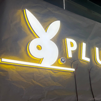 Panneau LED personnalisable Focon avec rail d'installation modulable, impression 3D, lettrage lumineux intérieur, enseigne lumineuse en forme de logo, Guangdong