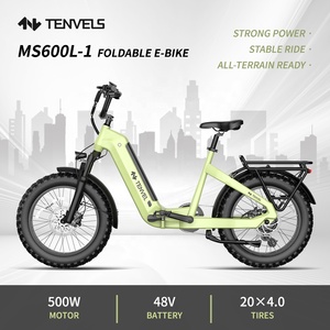 Bicicleta Todoterreno de 20 Pulgadas con Llantas Gruesas de Alta Calidad / Bicicleta Eléctrica OEM para Adultos E MTB MS600L con Batería en el Tubo Inferior E-bike MS60 - Product Image 5